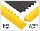 Male and Female Edges